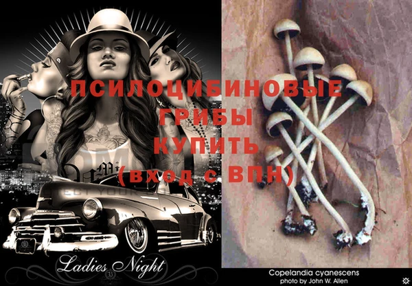 МДМА Белокуриха