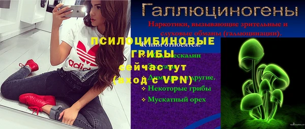 гашик Армянск
