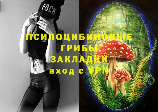 apvp Аркадак