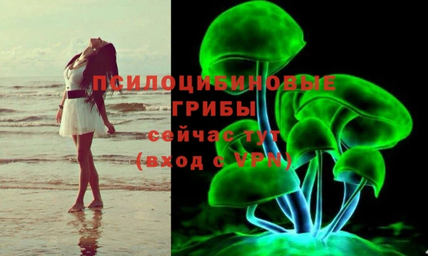 МДМА Белокуриха