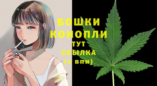 apvp Аркадак