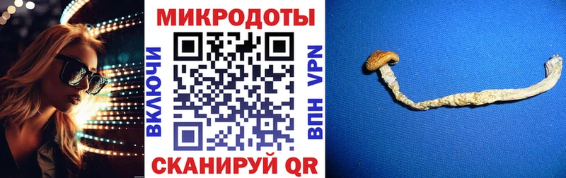 Псилоцибиновые грибы мицелий  закладка  Касли 